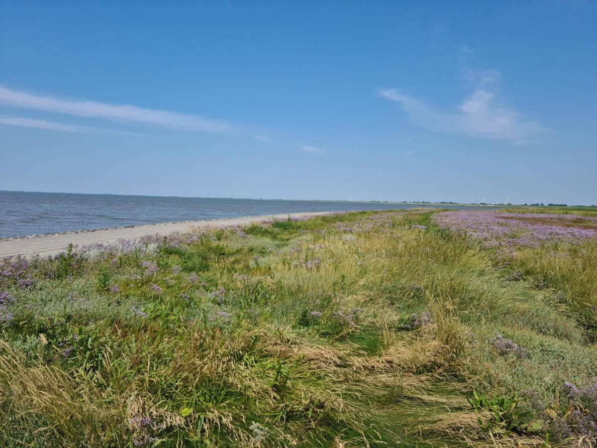 Haus Meererleben - Urlaub Mit Hund An Der Nordsee Schweiburg Exteriör bild