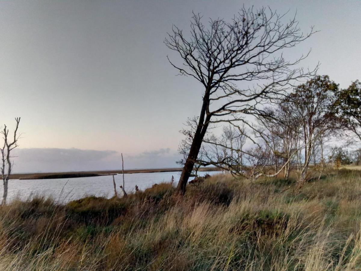 Haus Meererleben - Urlaub Mit Hund An Der Nordsee Schweiburg Exteriör bild